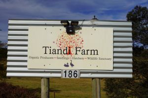Tiandi Wildlife Sanctuary Farm Stay - Jambalaya Cottage - Accommodation Nelson Bay